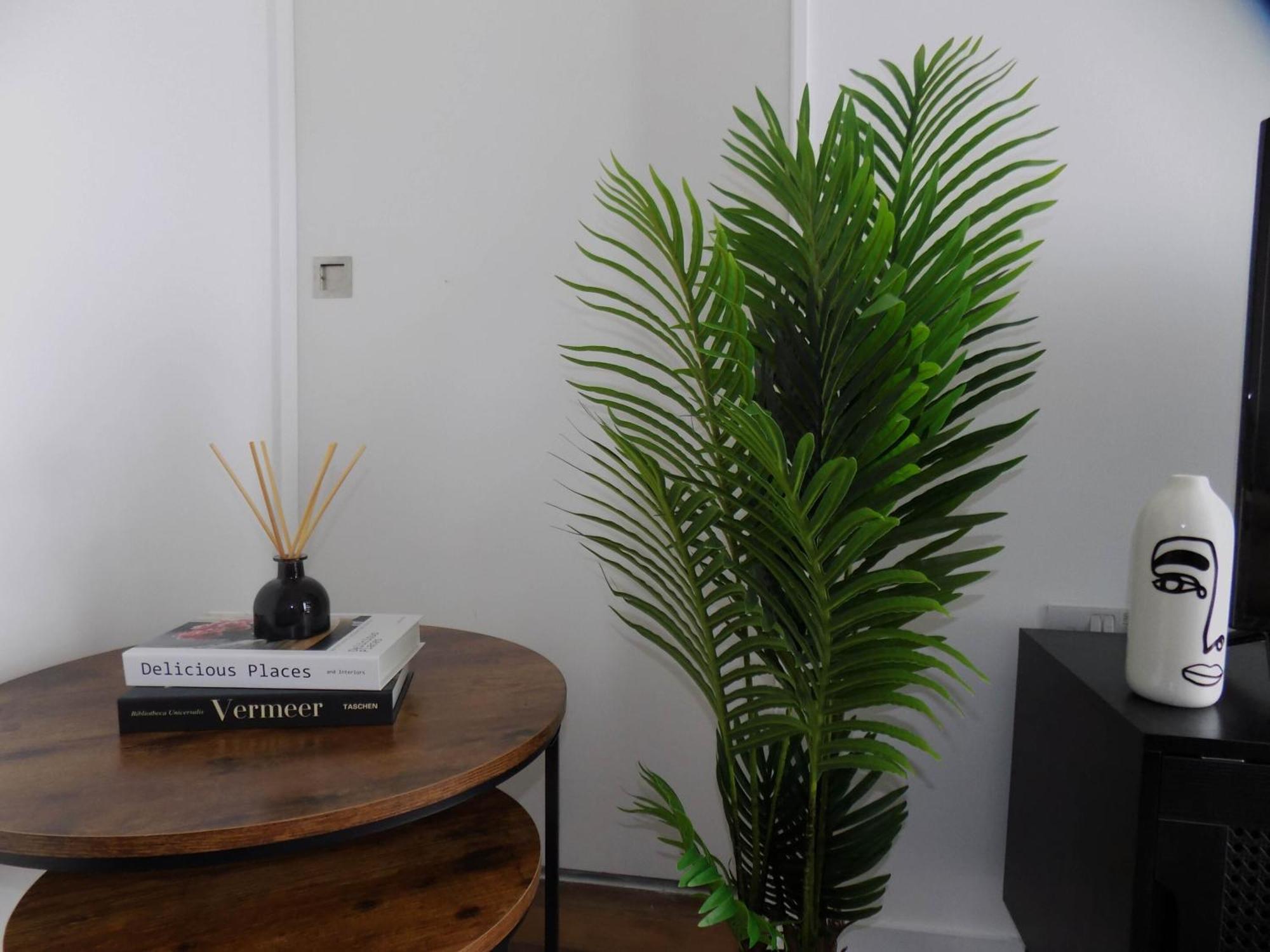 Apartment B1 Deluxe